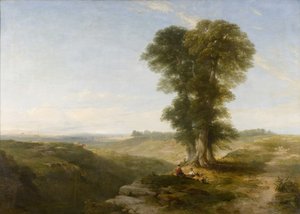 Foresta di Mansfield - Mezzogiorno